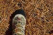 Hicker explorer feet boot detail on pine dried needles