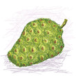 noni fruit