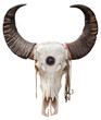 Buffalo skull