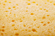 Sponge.