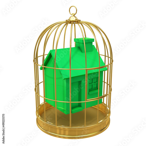 Illustration: Birdcage with green house inside Birdcage with green house inside