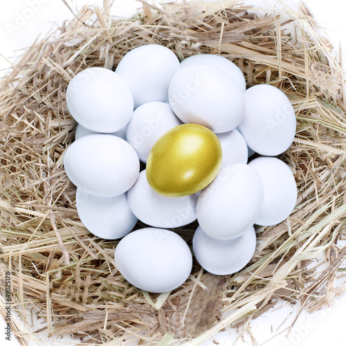Photo: Golden egg in common nest Golden egg in common nest