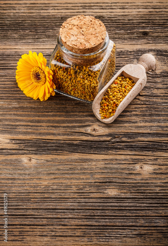 Photo: Pollen granules Pollen granules