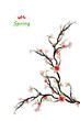 Vektor: Spring Cherry Blossoms Spring Cherry Blossoms