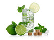 Mojito cocktail on white background