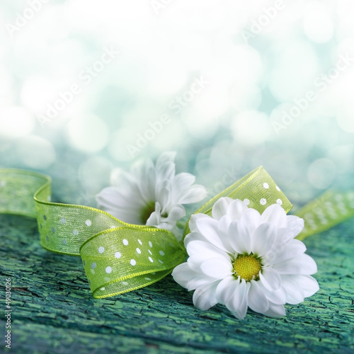 Photo: Weiße Blüten auf Holz mit Textfreiraum Weiße Blüten auf Holz mit Textfreiraum