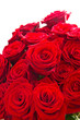 Red roses