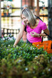 Young woman buying flowers at a garden center