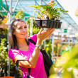 Young woman buying flowers at a garden center