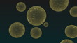 viruses