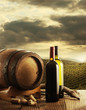 Wine and vineyard