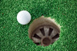 Photo: golf ball golf ball