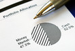 Portfolio allocation illustrates the asset in a pie chart