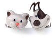 Fun cat and dog