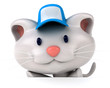 Fun cat