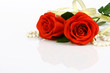 elegant rose with necklace