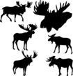 Vektor: mooses mooses
