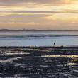 Beach Walker