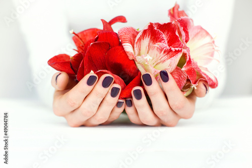 Photo: Hands with beautiful manicure holding bright flowers on white Hands with beautiful manicure holding bright flowers on white