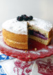Schwarzbeeren Torte