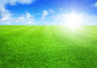 green grass and blue sky