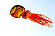 Octopus kite