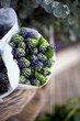 Foto: Jacinthe, printemps, fleurs, bouquet, floral, fleuriste, vert Jacinthe, printemps, fleurs, bouquet, floral, fleuriste, vert