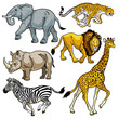 set with african animals of savanna