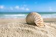 Photo: nautilus shell with ocean , beach and seascape, shallow dof nautilus shell with ocean , beach and seascape, shallow dof