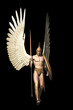 Illustration: Archangel isolated on black Archangel isolated on black