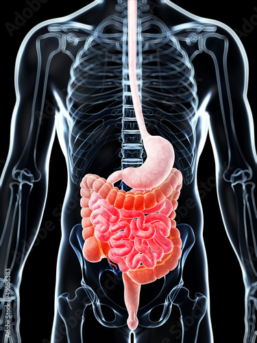 Illustration: 3d rendered illustration of a painful bowel 3d rendered illustration of a painful bowel