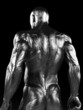 3d rendered illustration of a steel muscle man