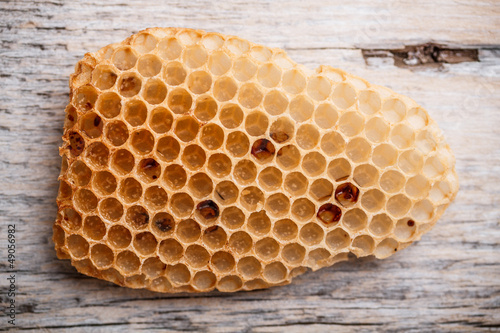 Photo: Honeycomb Honeycomb