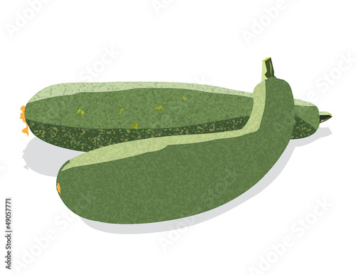 Vector: Two zucchini isolated on white background Two zucchini isolated on white background