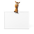3d rendered illustration of a cute horse