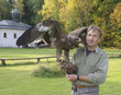 Der ewige Traum vom Fliegen - Steppenadler