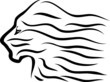 Lion head
