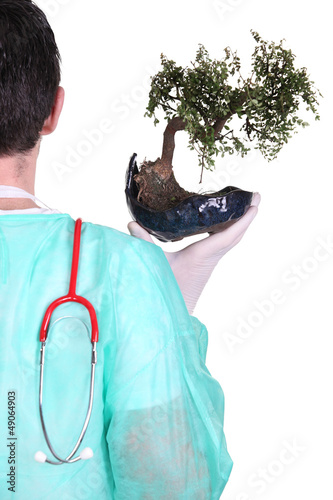 Photo: Surgeon with a bonsai tree Surgeon with a bonsai tree