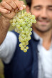 Man with bunch of grapes