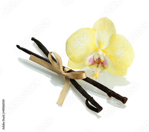 Photo: Vanilla pods with flower isolated on white Vanilla pods with flower isolated on white