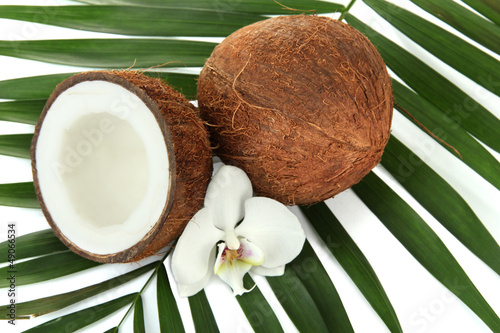 Photo: Coconuts with leaves and flower, close up Coconuts with leaves and flower, close up