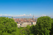 Turin view