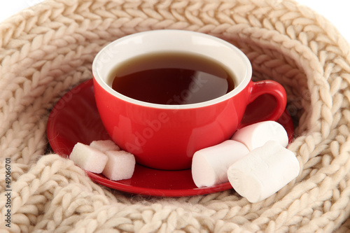 Photo: cup of tea with scarf close-up cup of tea with scarf close-up