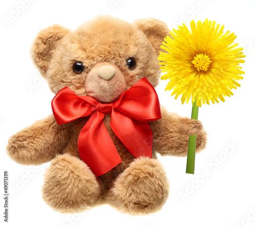 Photo: Classic teddy bear with red bow holding flower isolated on white Classic teddy bear with red bow holding flower isolated on white