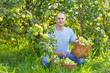   man with basket of harvested apples