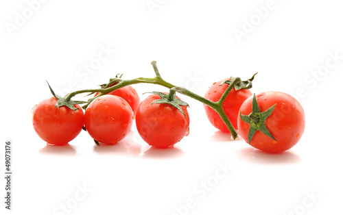 Photo: Tomates cerises en branche, fond blanc Tomates cerises en branche, fond blanc