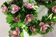 Pink Orchid For Your Design De...