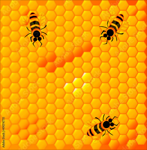 Vector: Honeycomb Honeycomb