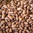 Nuts texture background