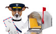mail dog